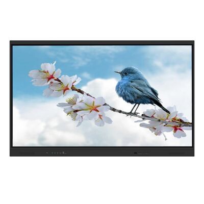 65 75 86 98 pulgadas Interactivo panel plano Interactivo tablero blanco de apoyo sistema dual