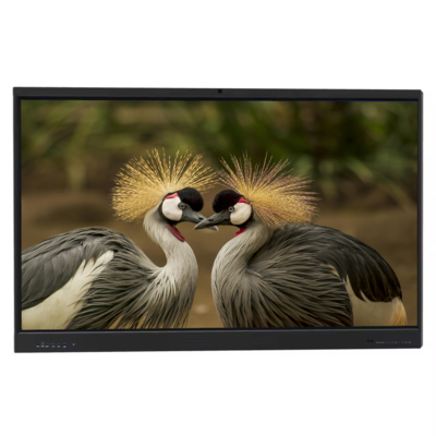 Fabricante IBoard Pizarra Interactiva de 65 Pulgadas Pantalla Plana Interactiva Inteligente Pizarra Digital Táctil Sistema Dual para Enseñanza Escolar Oficina