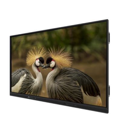 Fabricante IBoard Pizarra Interactiva de 65 Pulgadas Pantalla Plana Interactiva Inteligente Pizarra Digital Táctil Sistema Dual para Enseñanza Escolar Oficina