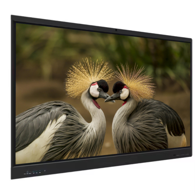 Fabricante IBoard Pizarra Interactiva de 65 Pulgadas Pantalla Plana Interactiva Inteligente Pizarra Digital Táctil Sistema Dual para Enseñanza Escolar Oficina