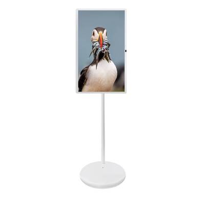 27 32 pulgadas Android 15 con cámara de micrófono móvil Stand para TV en el hogar Monitor de menú de mesa de reuniones
