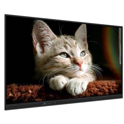 Pizarra interactiva inteligente de 65 pulgadas con Android/Windows/Linux/Mac/Chrome OS y proyección inalámbrica