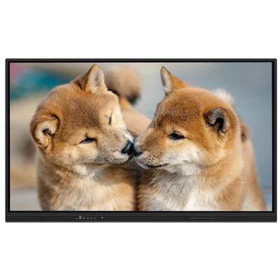 Panel plano interactivo inteligente de 75 pulgadas con Android 15 y WiFi 6 para escuelas y oficinas