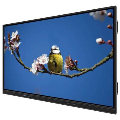 EDLA Smart Touch Monitor 65 pulgadas Soporte multi-OS para la enseñanza y las reuniones