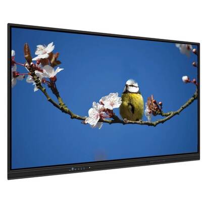 EDLA Smart Touch Monitor 65 pulgadas Soporte multi-OS para la enseñanza y las reuniones