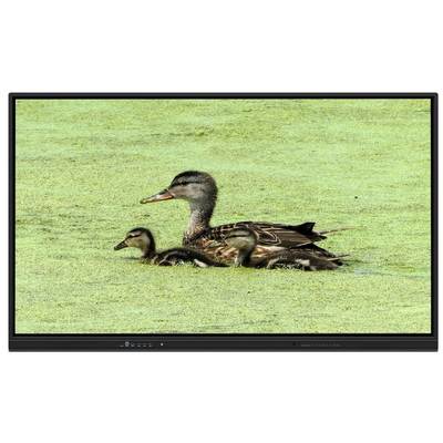 Pizarra interactiva todo en uno de 65 pulgadas con almacenamiento de 8+128G y táctil infrarrojo para enseñanza y reuniones