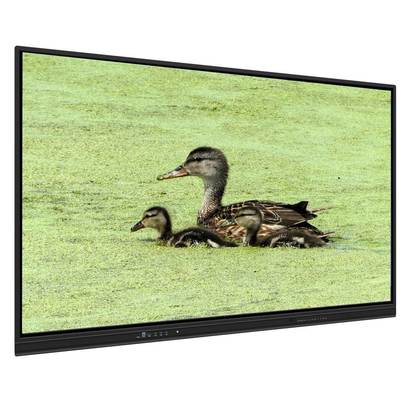 Pizarra interactiva todo en uno de 65 pulgadas con almacenamiento de 8+128G y táctil infrarrojo para enseñanza y reuniones