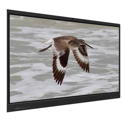 Pizarra Interactiva Iboard Android 15 EDLA con Panel de 65 Pulgadas Para Aprendizaje Electrónico