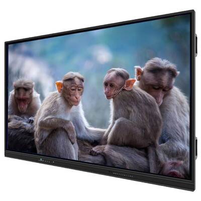 Panel plano interactivo LCD con relación de aspecto 16:9 soporte de sistema operativo dual e entradas HDMI para una enseñanza mejorada