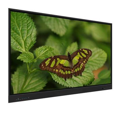 65 pulgadas Android 14 8+128G Interactivo Whiteboard Smart Monitor con herramientas de enseñanza