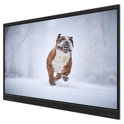 Monitor de pantalla táctil interactiva de 75 pulgadas con 16,7 millones de colores de visualización, 50 puntos táctiles, RAM y ROM opcionales de 4+32G/8+128G para enseñanza en escuelas y universidades al por mayor