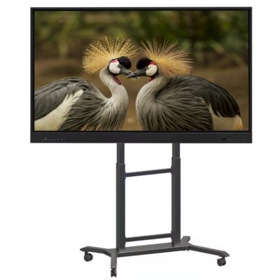 Fabricante IBoard Pizarra Interactiva de 65 Pulgadas Pantalla Plana Interactiva Inteligente Pizarra Digital Táctil Sistema Dual para Enseñanza Escolar Oficina