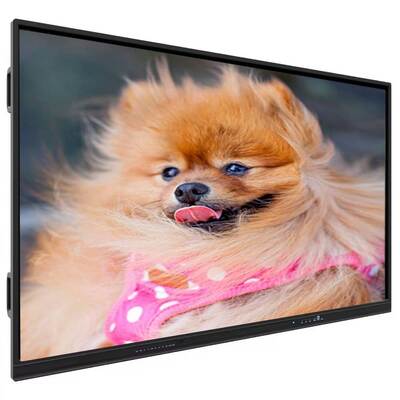Panel plano interactivo con pantalla táctil IBoard con ordenador OPS Windows opcional, profundidad de color de 1,07 G (8 bits + FRC) y brillo de 350 Cd/m² para salas de reuniones modernas